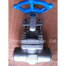 API 602 Forged Steel F316 Gate Valve (Z61Y-11/2"-800)